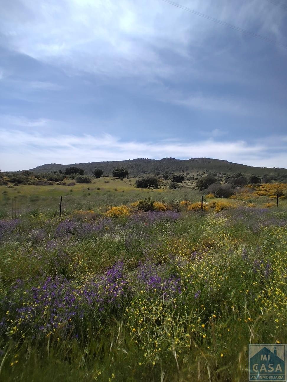 Venta de finca de recreo en Mérida