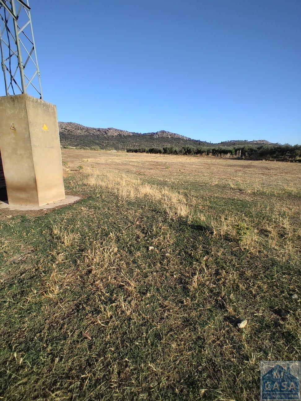 Venta de finca rústica en Mérida