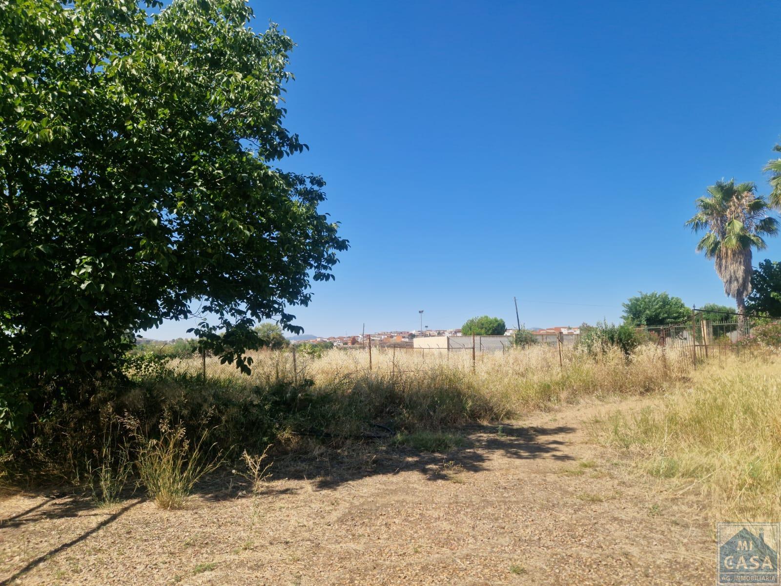 For sale of land in Mérida