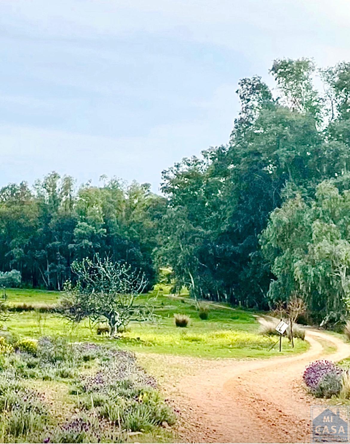 For sale of land in Mérida