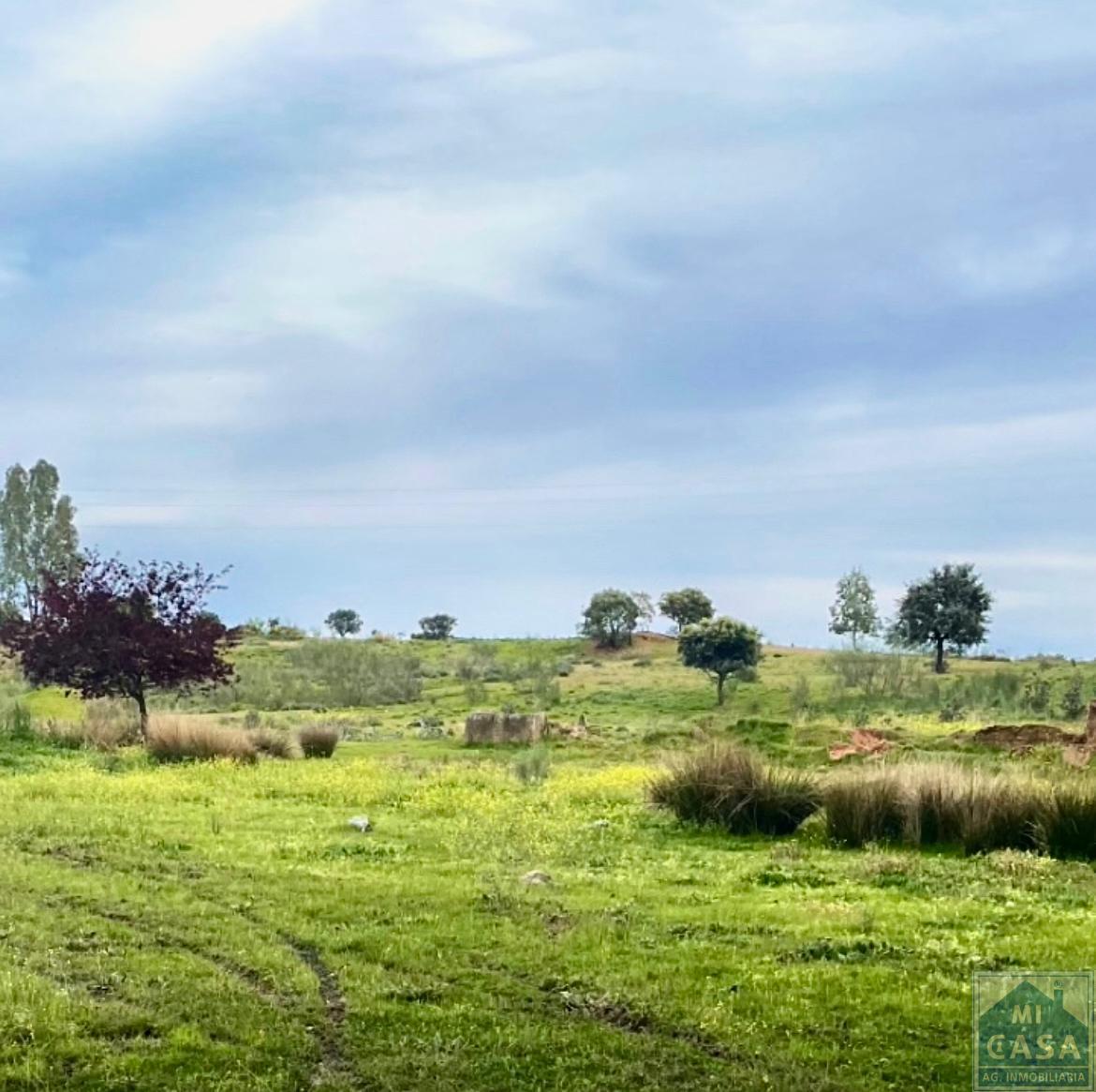 Venta de terreno en Mérida