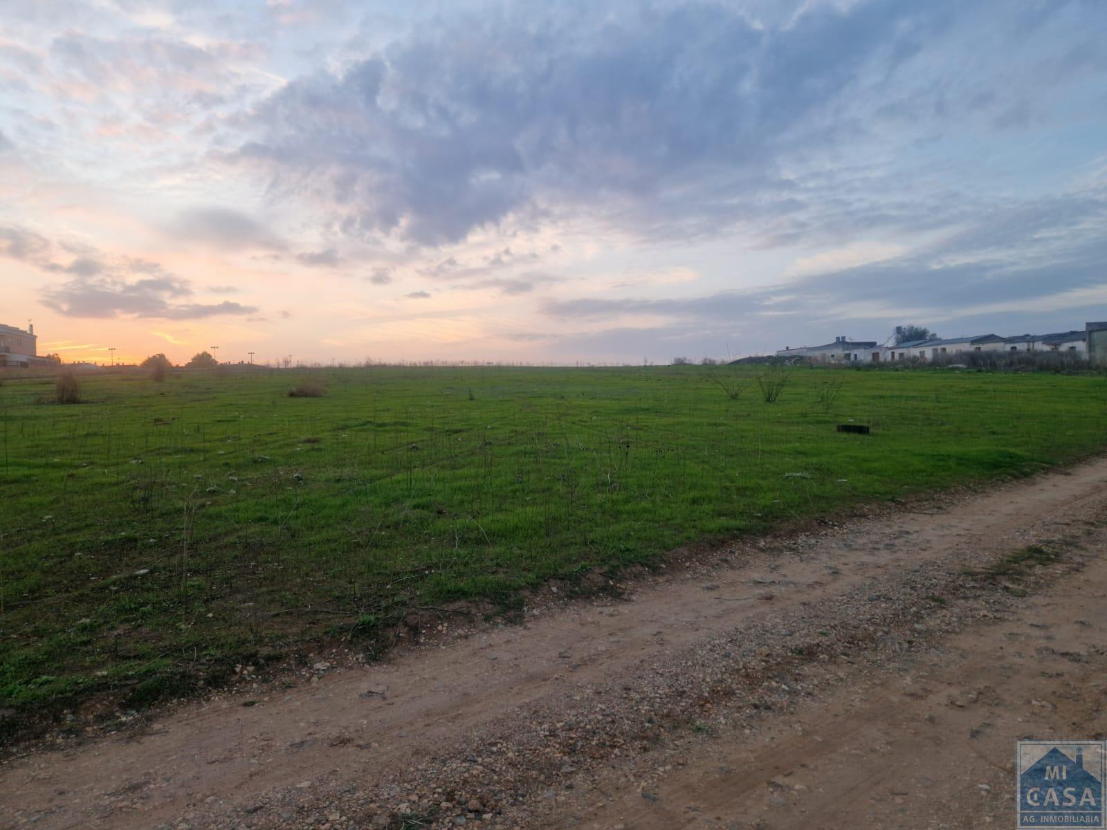 For sale of land in Mérida