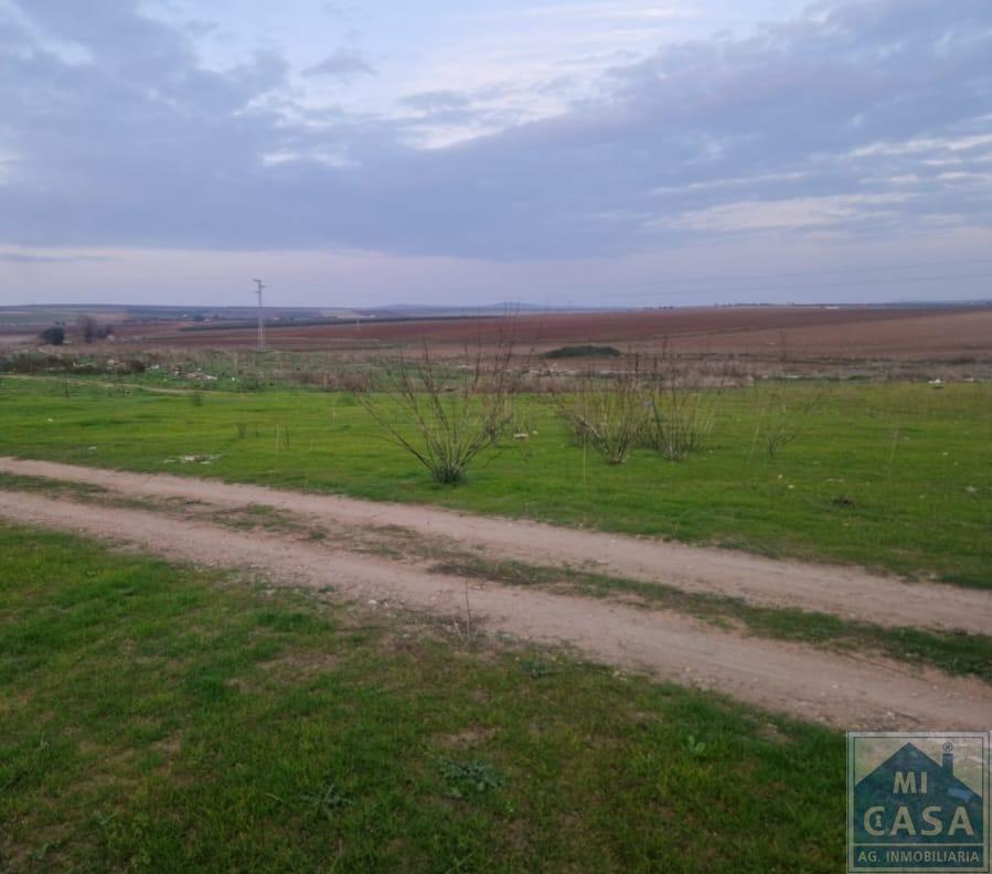 For sale of land in Mérida