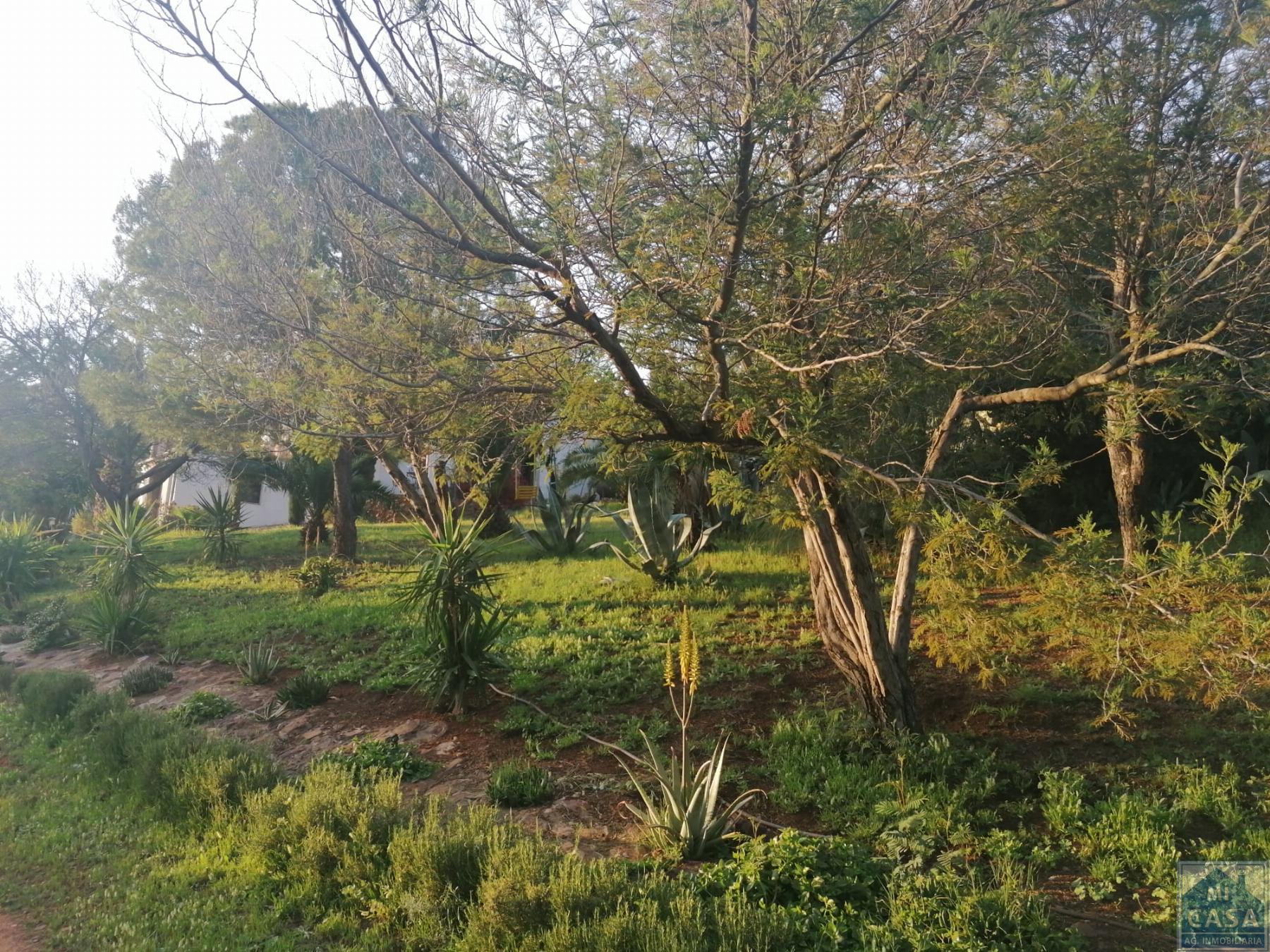 Venta de finca de recreo en Alange