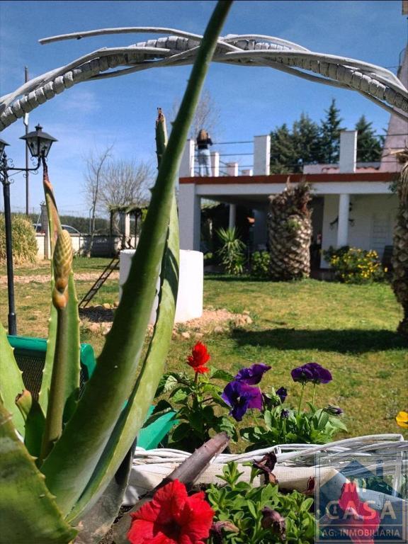 For sale of hotel in Barbaño