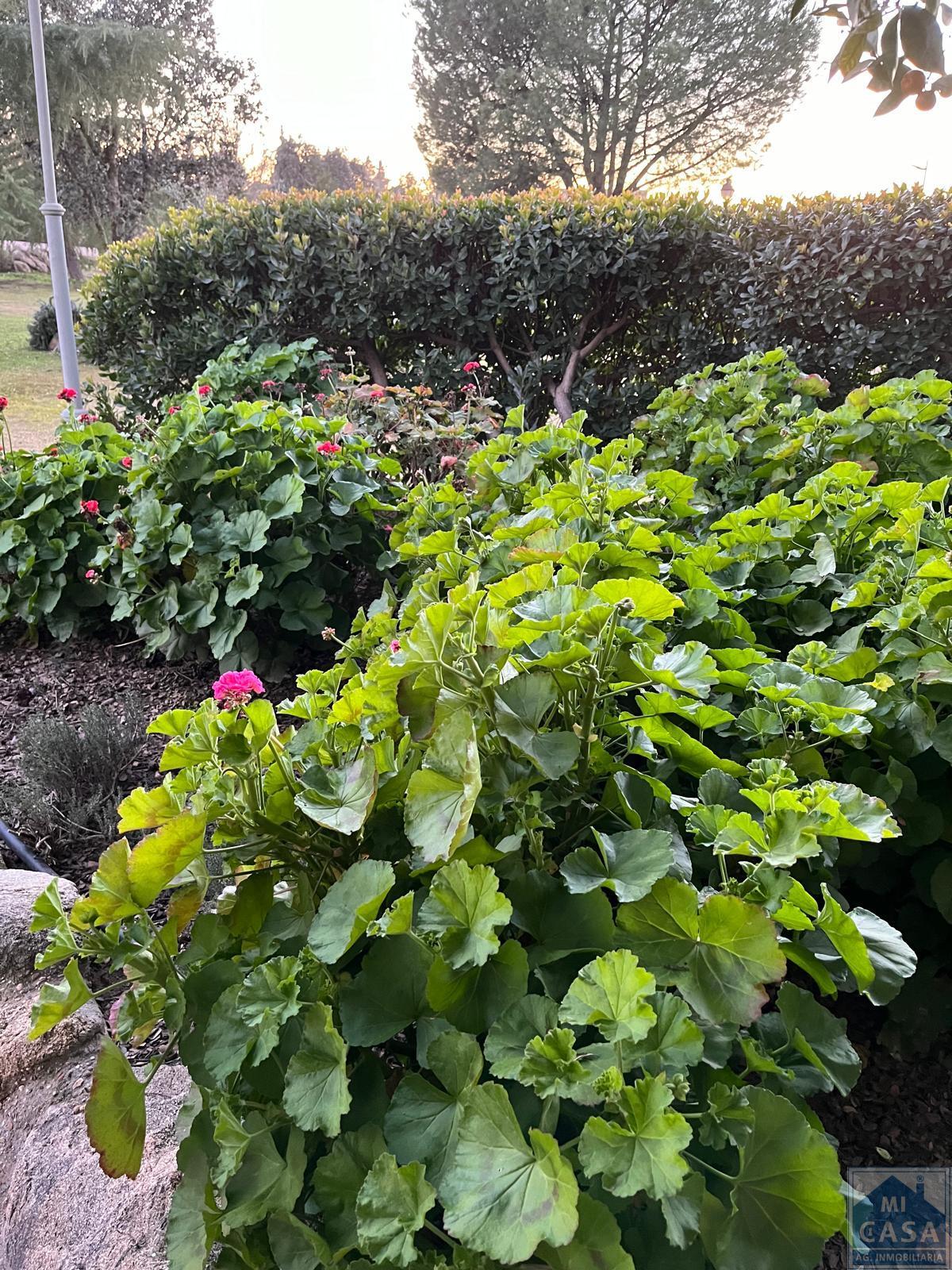 Venta de finca rústica en Valverde de Mérida Venta de finca rústica en Valverde de Mérida