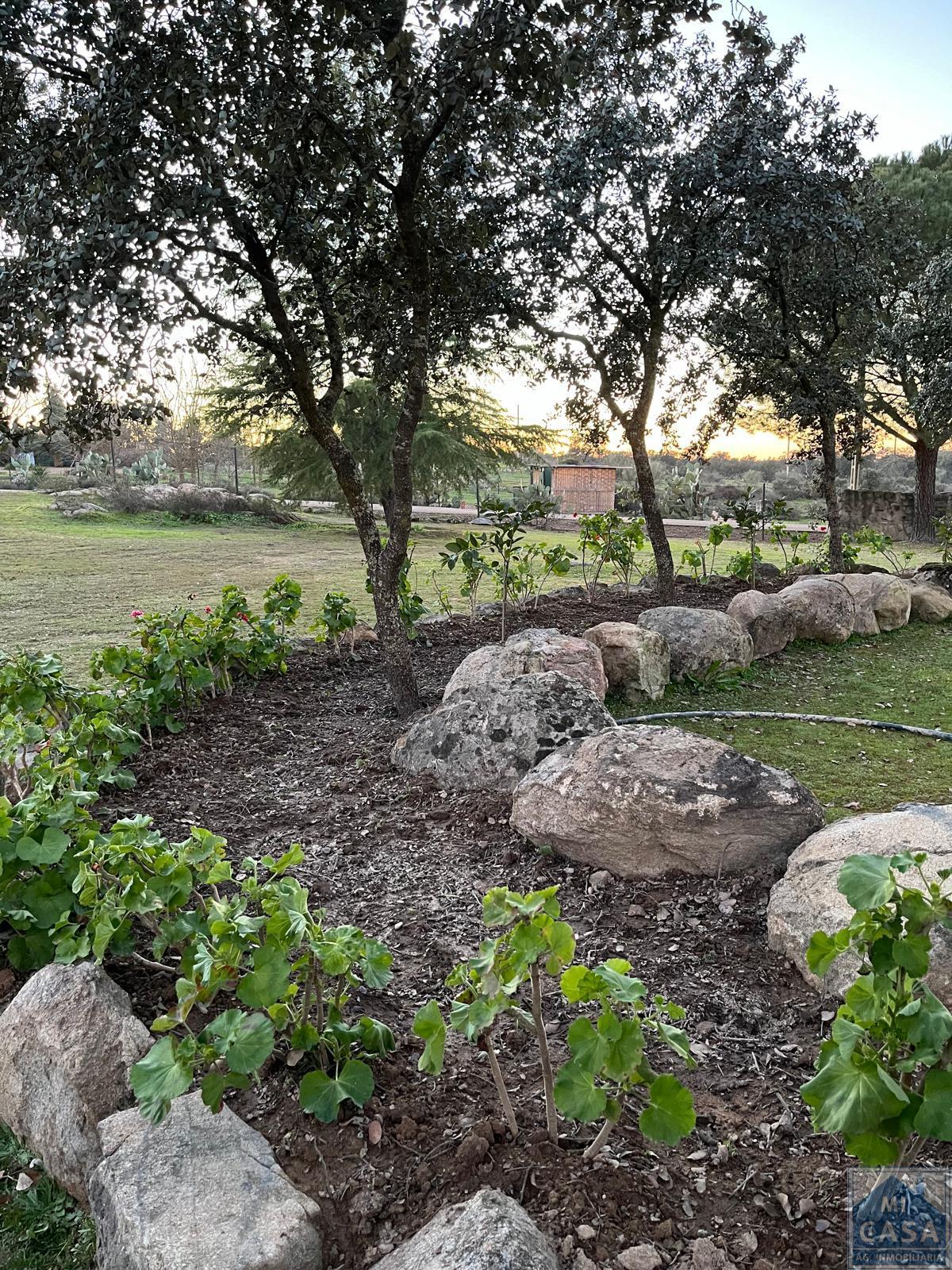 Venta de finca rústica en Valverde de Mérida