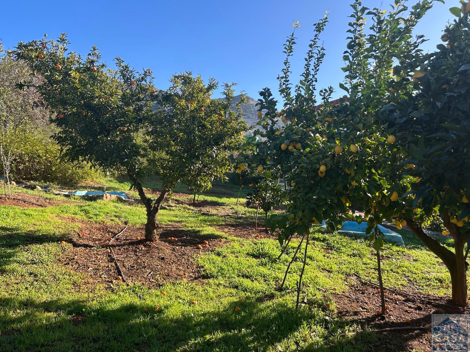 For sale of house in Alange