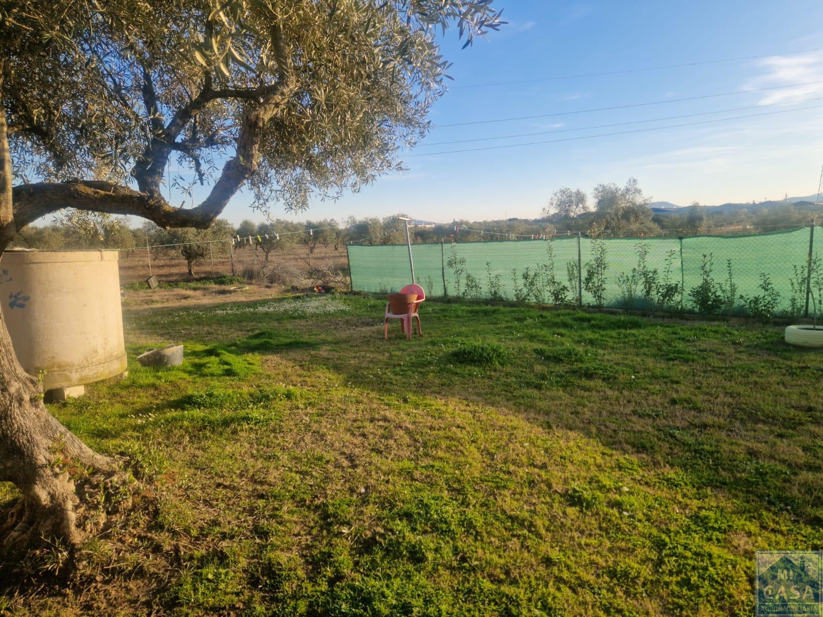 For sale of rural property in Mérida