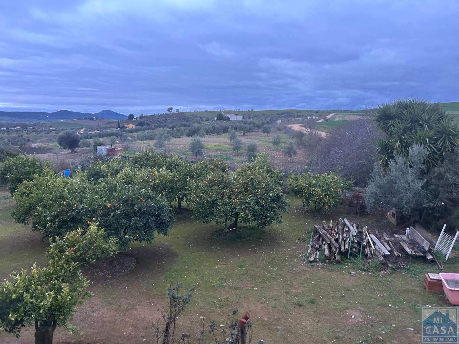 Venta de finca de recreo en Don Álvaro