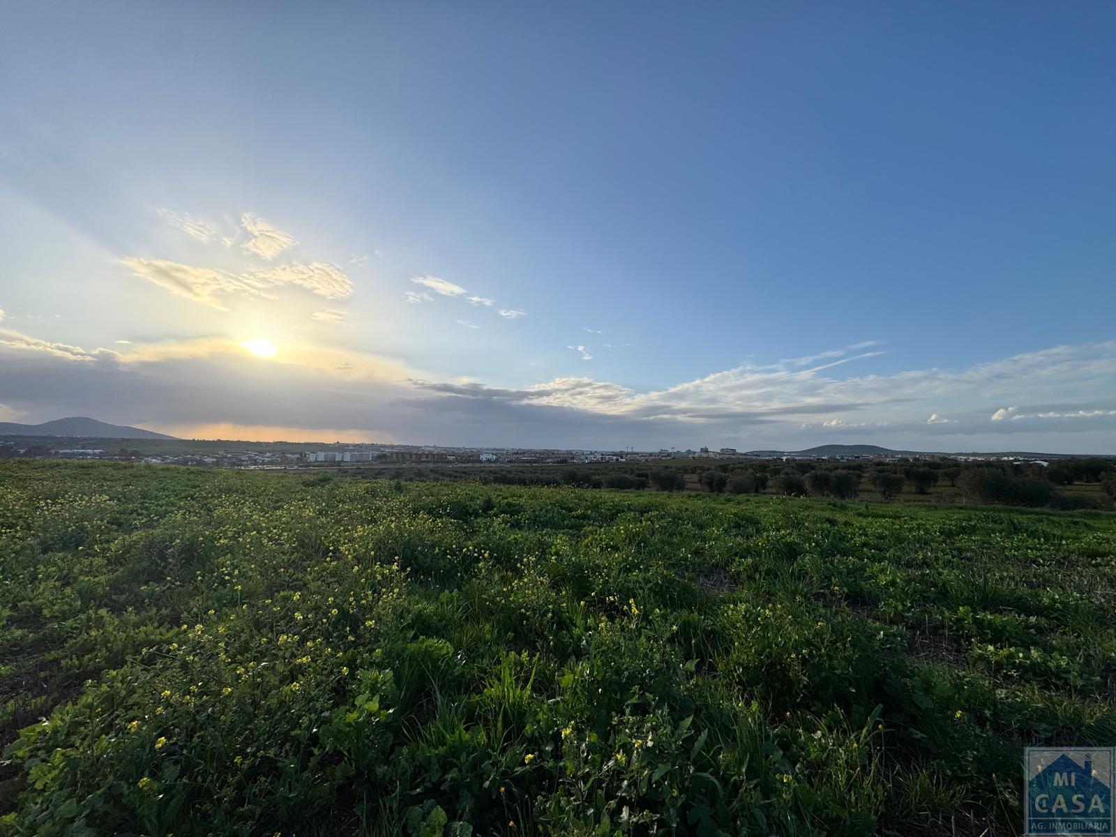 Venta de terreno en Mérida