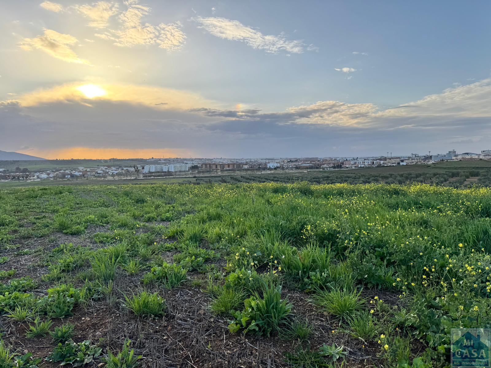 Venta de terreno en Mérida