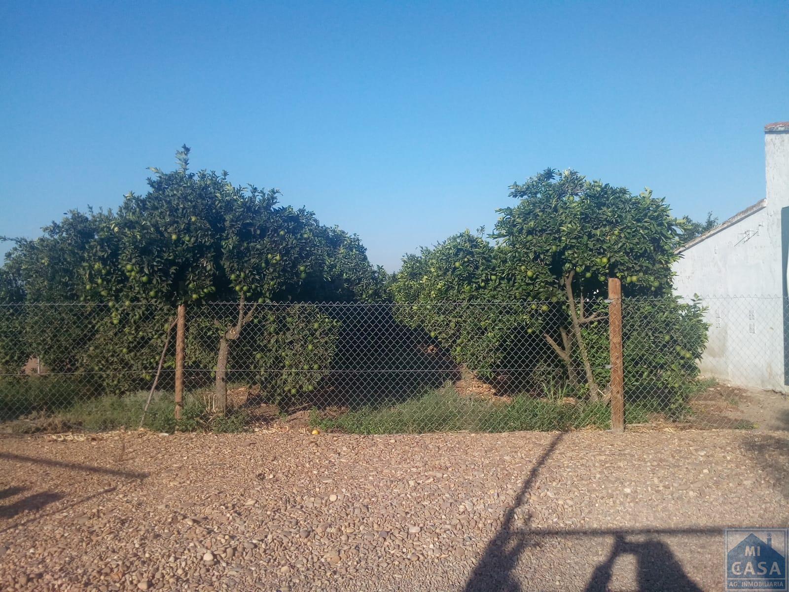 For sale of rural property in Guadajira
