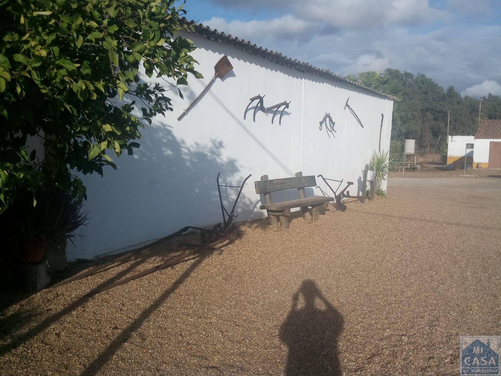 For sale of rural property in Guadajira