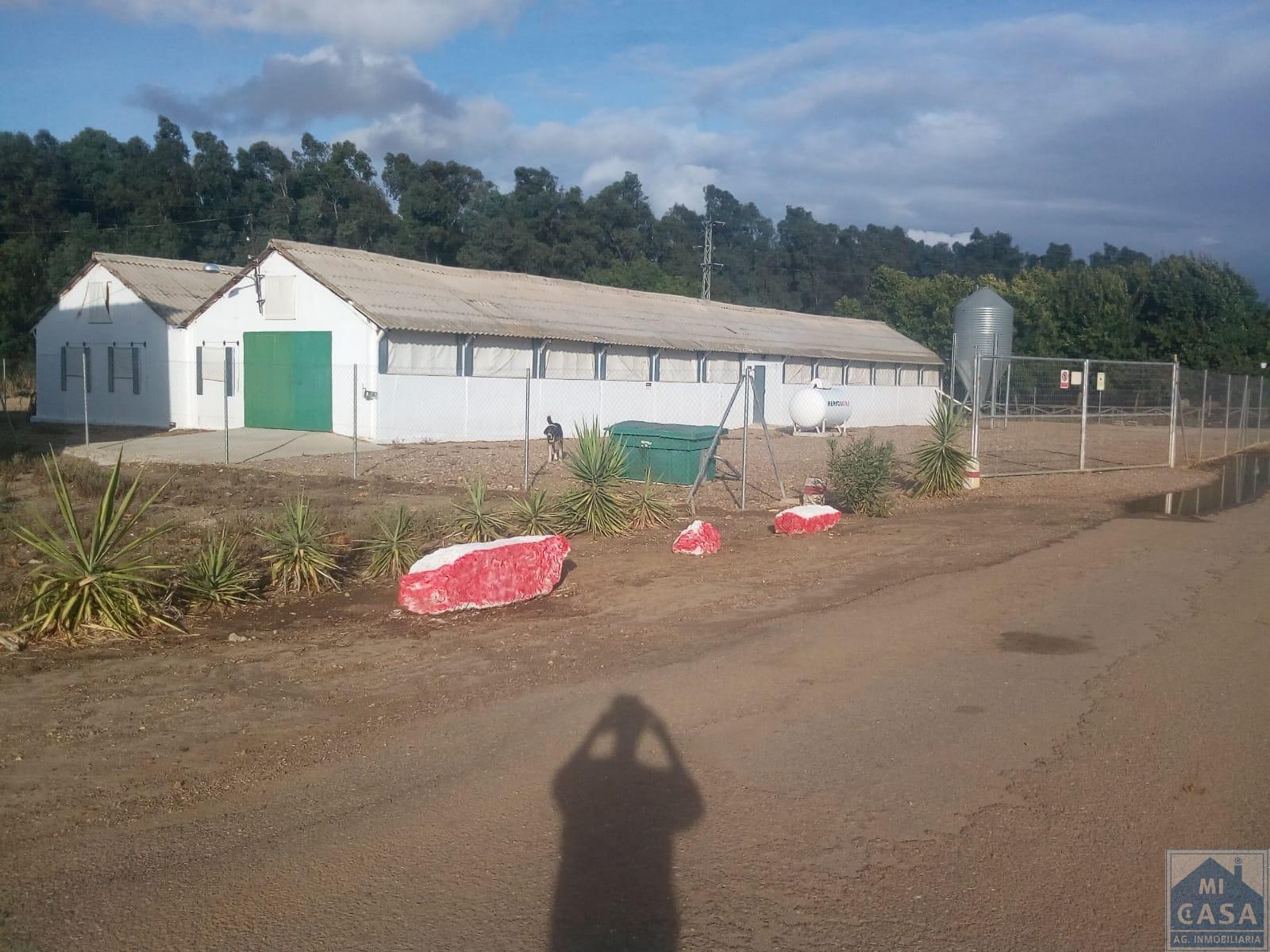 For sale of rural property in Guadajira