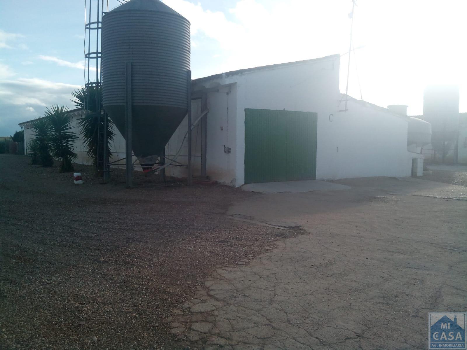 For sale of rural property in Guadajira