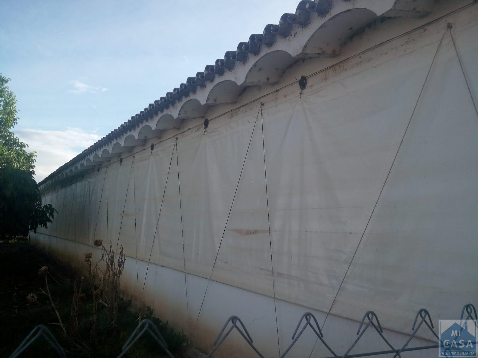 For sale of rural property in Guadajira
