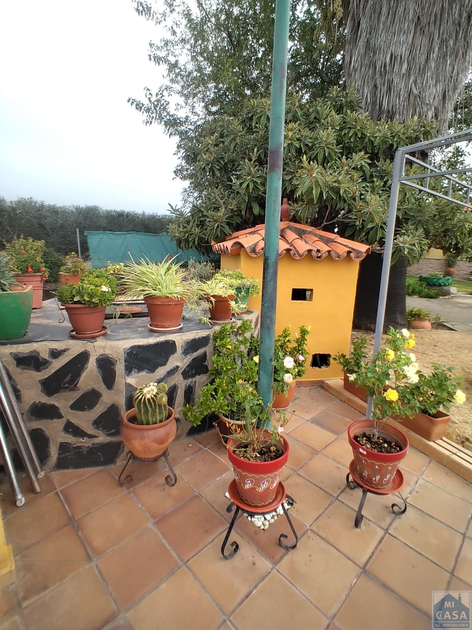 Venta de finca rústica en Mérida