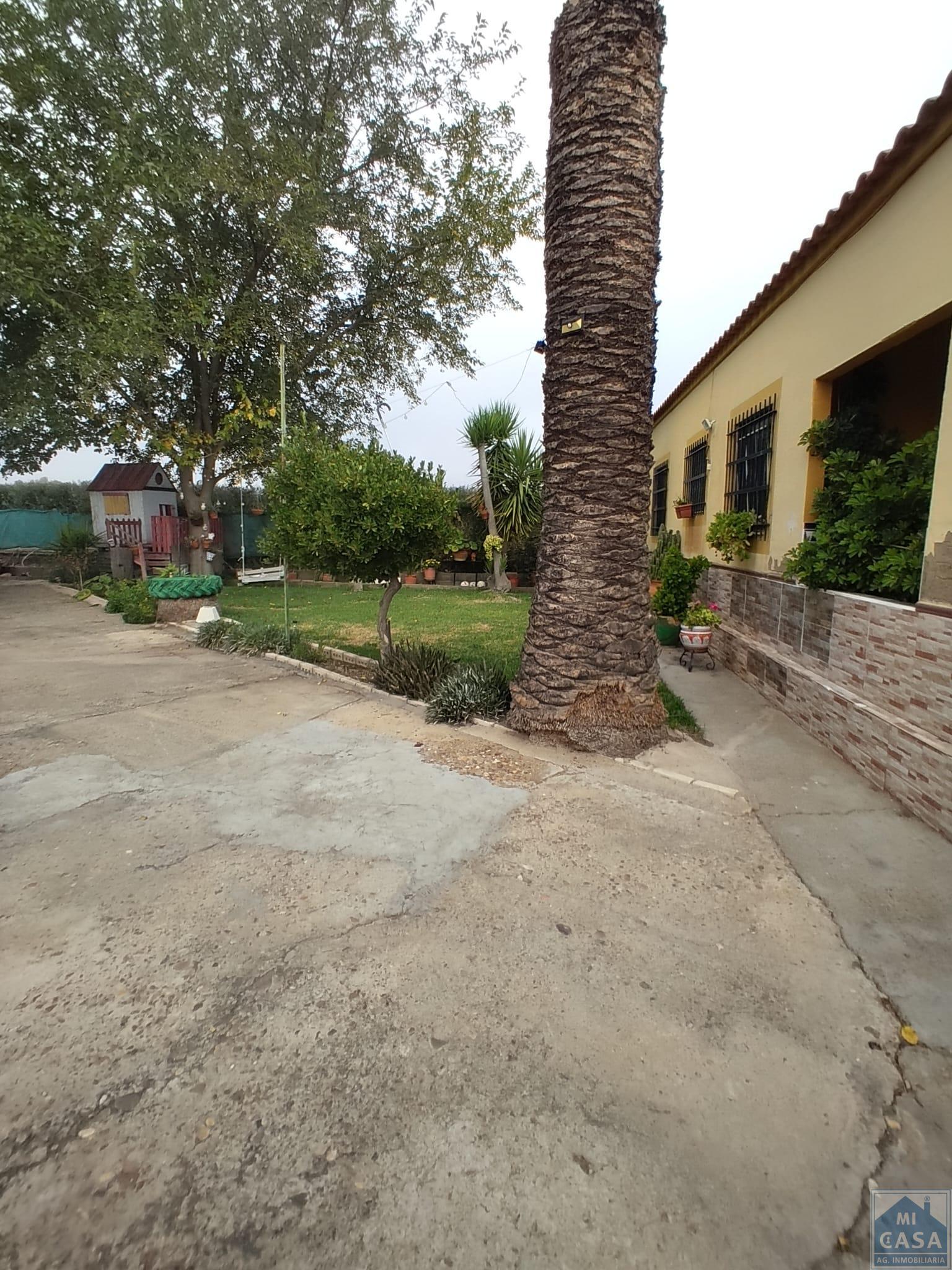 Venta de finca rústica en Mérida