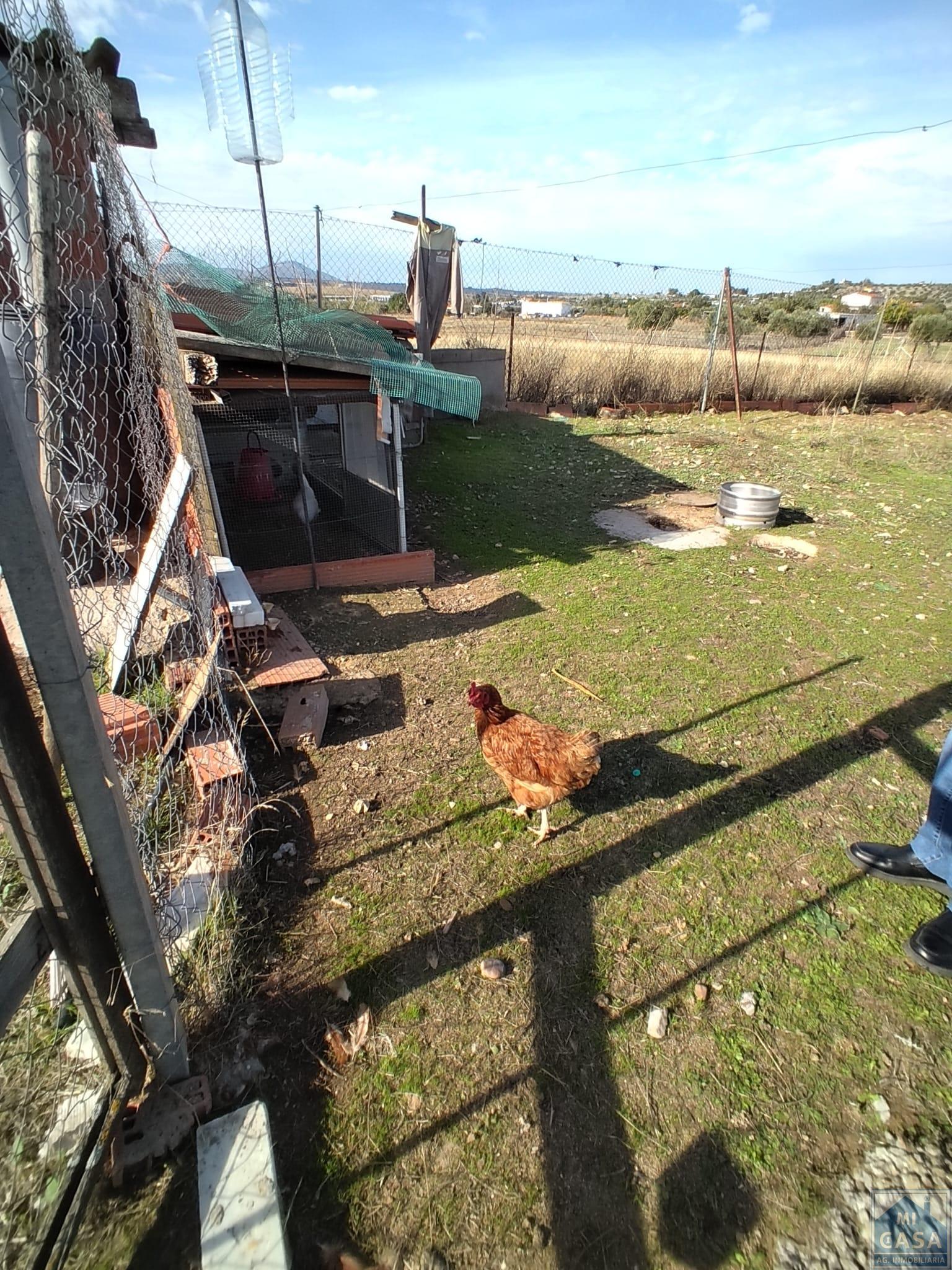 Venta de finca de recreo en Mérida