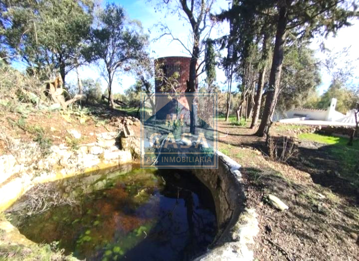 Venta de finca de recreo en Mérida