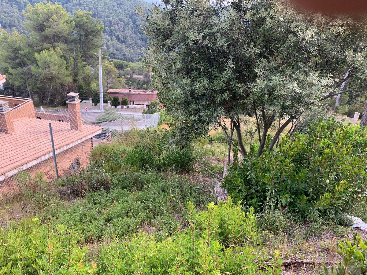 For sale of land in Palafolls
