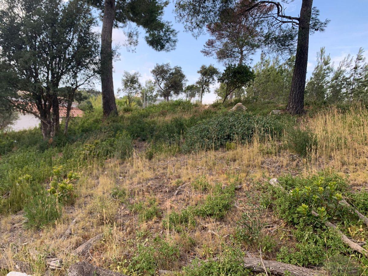 For sale of land in Palafolls