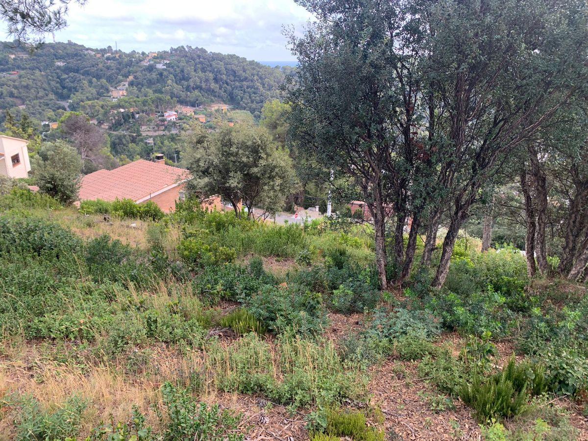 For sale of land in Palafolls