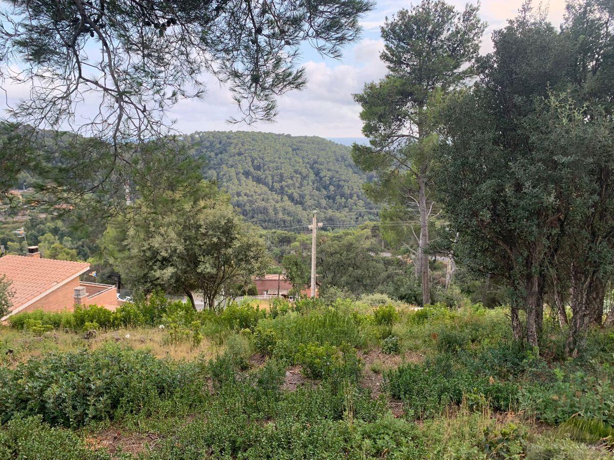 For sale of land in Palafolls
