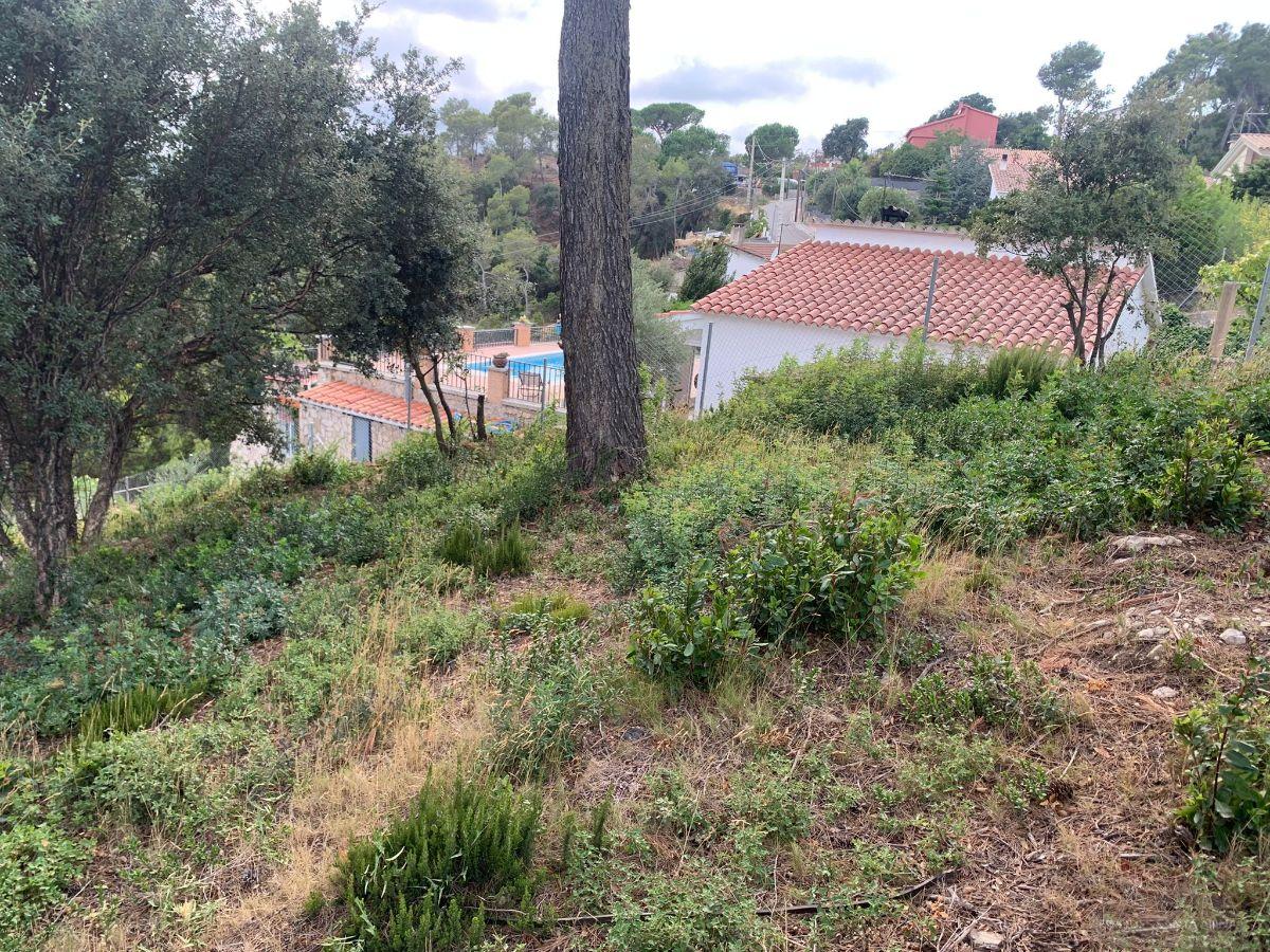 For sale of land in Palafolls