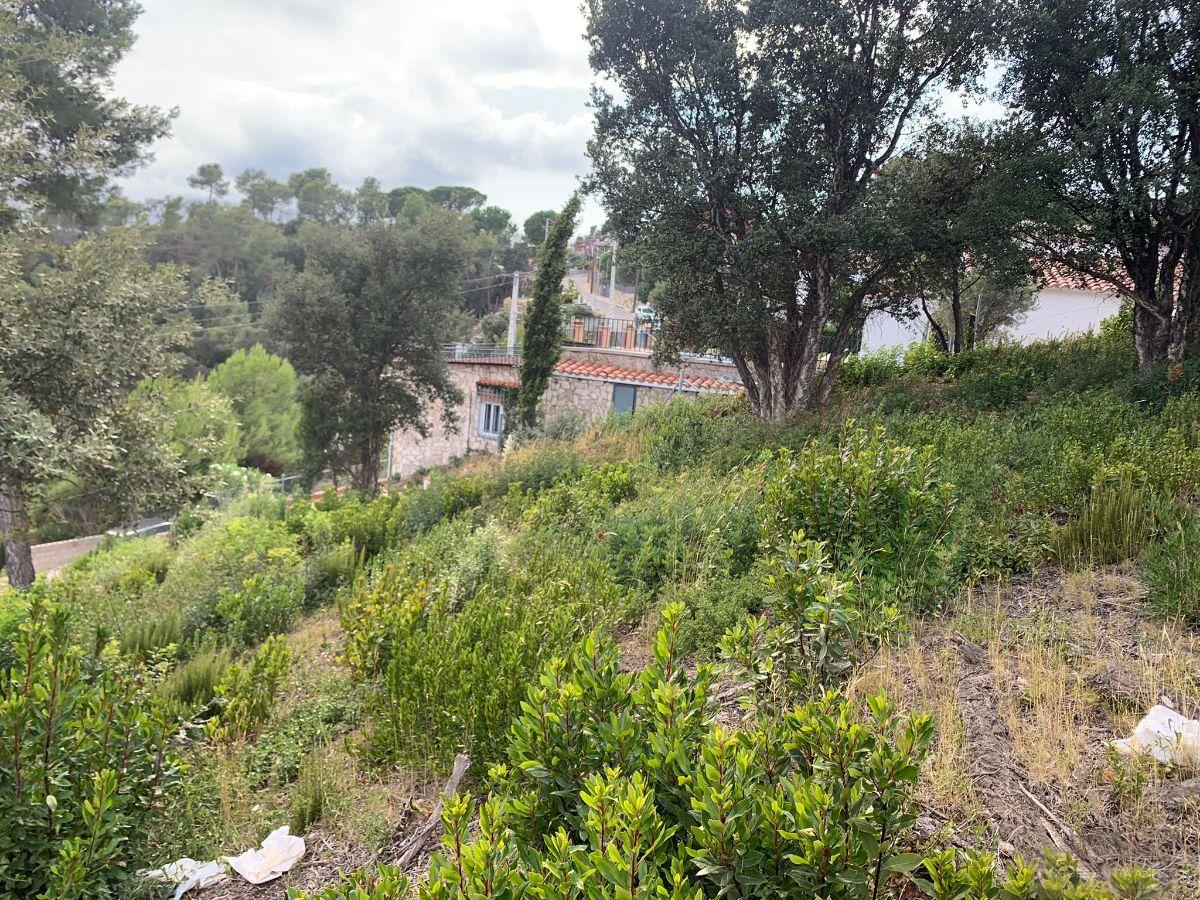 For sale of land in Palafolls