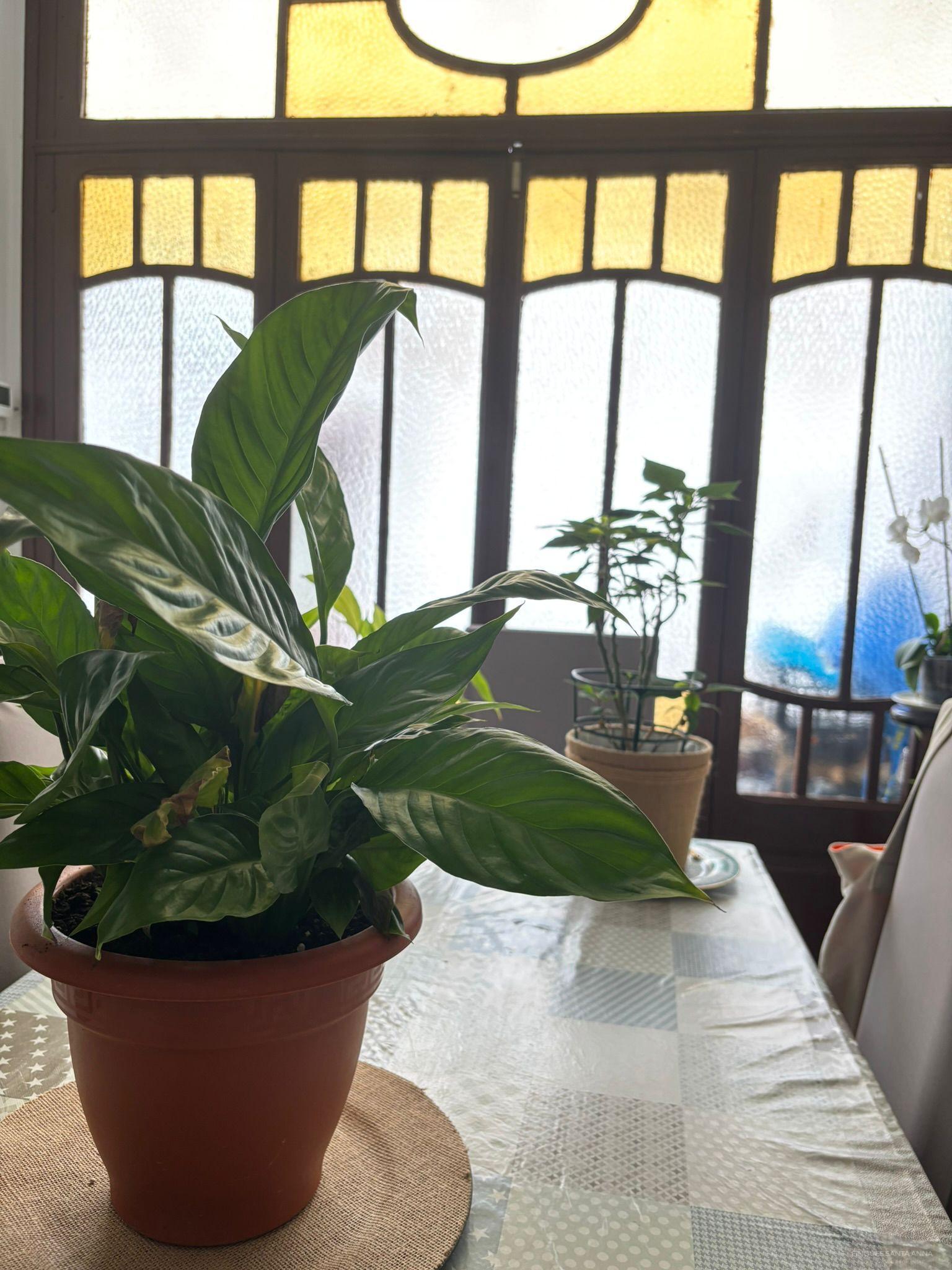 Venta de casa en Mataró