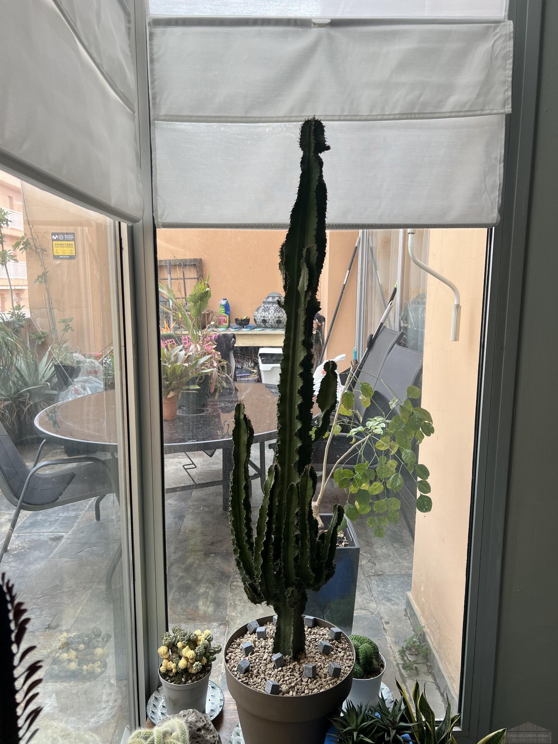 Venta de dúplex en Mataró