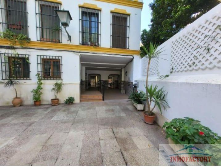 For rent of flat in Sevilla
