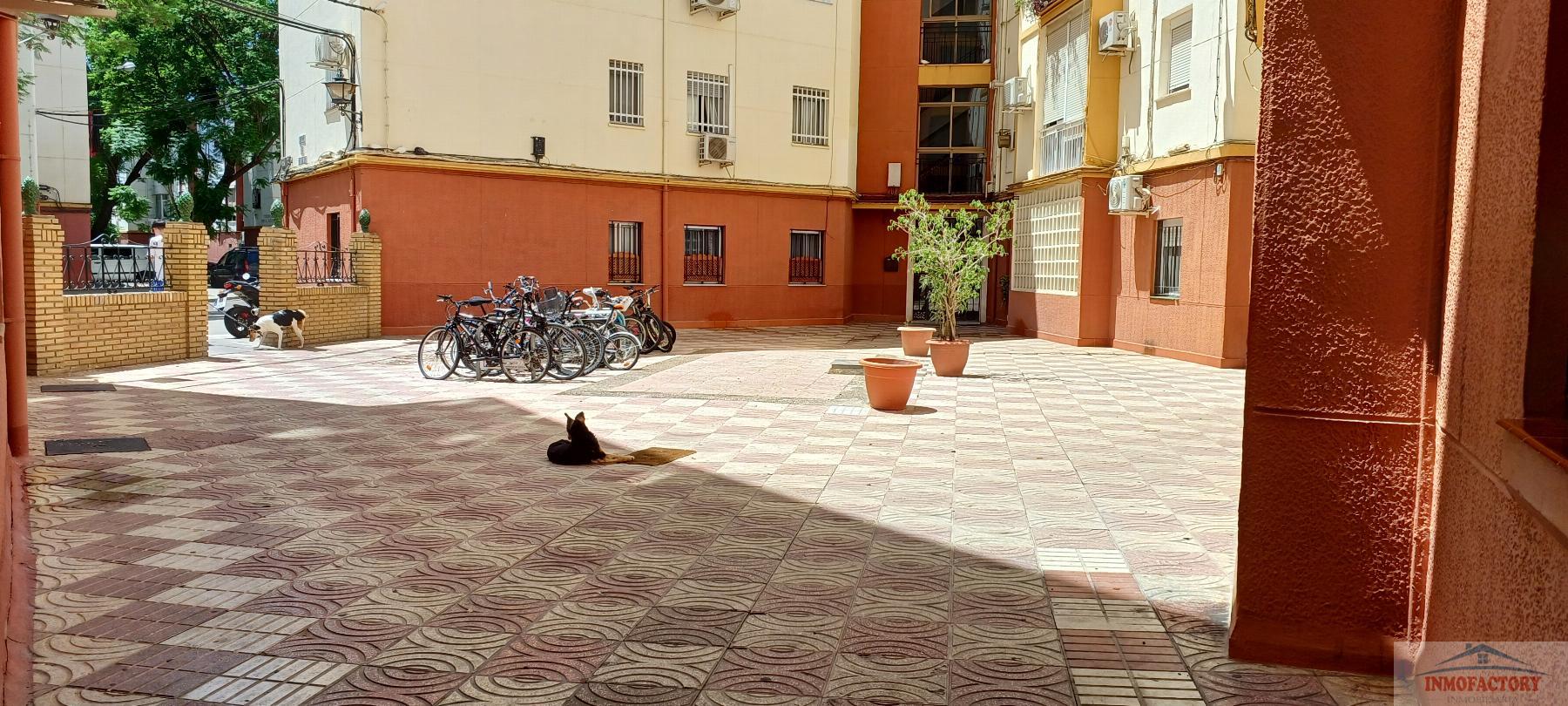 For rent of flat in Sevilla
