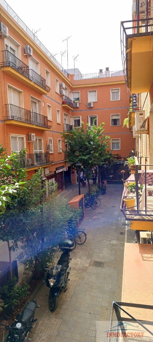 For rent of flat in Sevilla