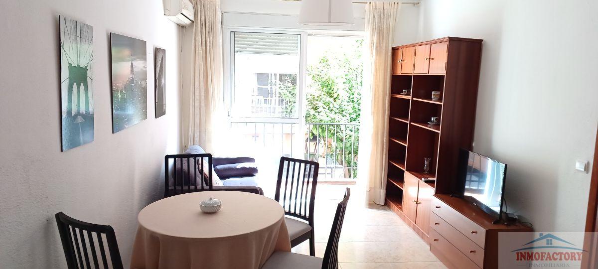 For rent of flat in Sevilla