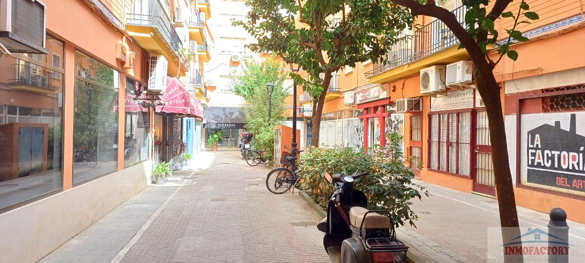 For rent of flat in Sevilla
