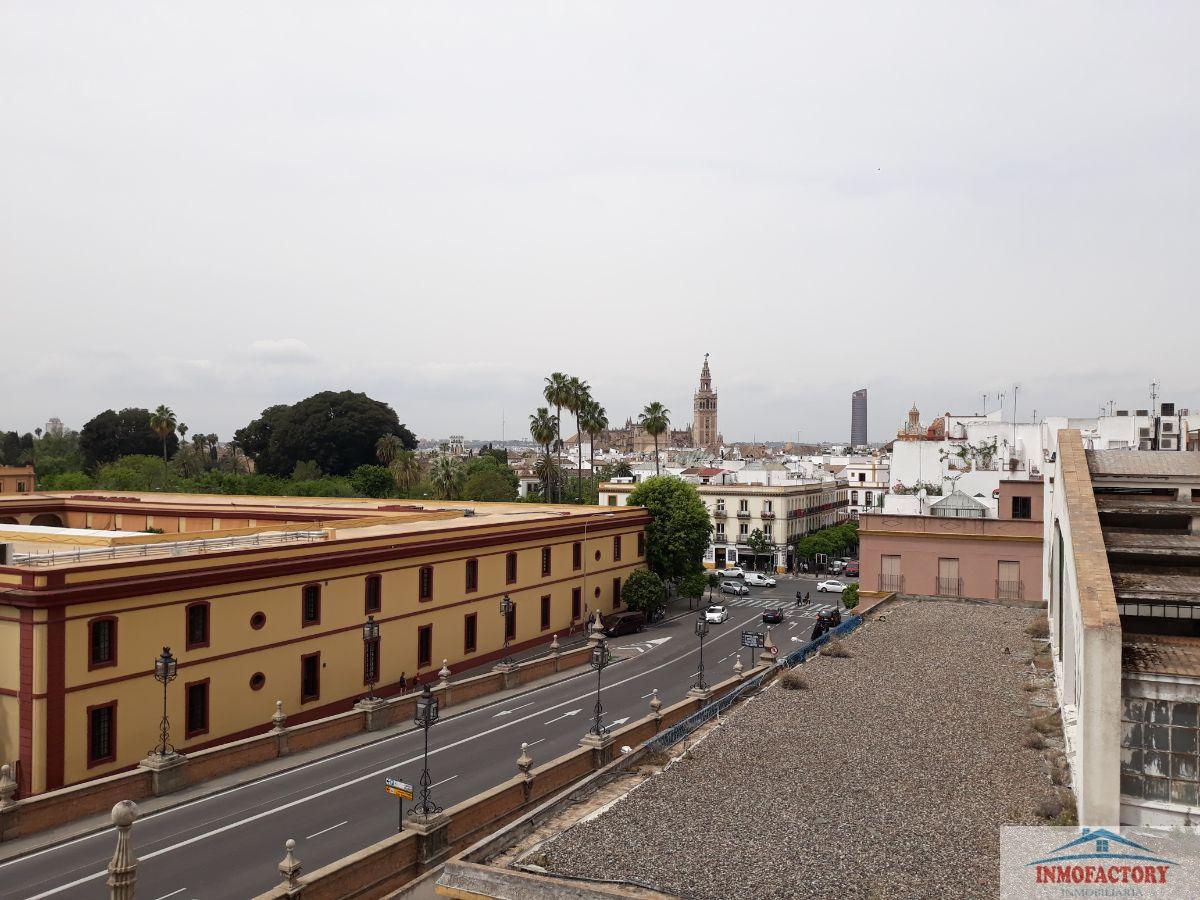 For rent of flat in Sevilla