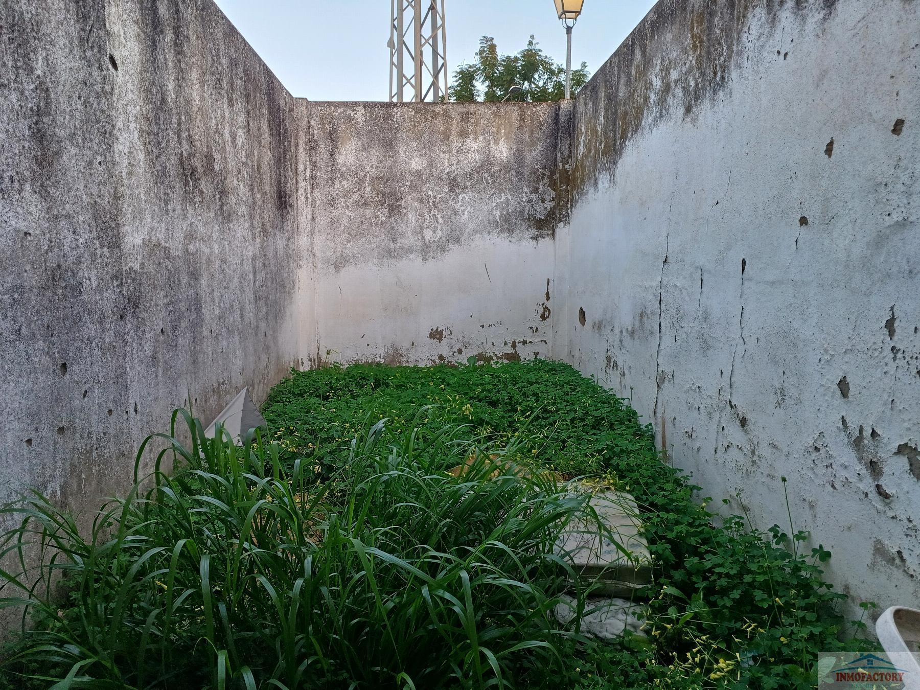 For sale of commercial in Coria del Río