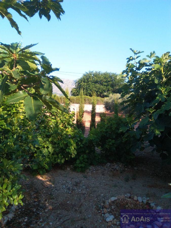 Venta de chalet en Gandia