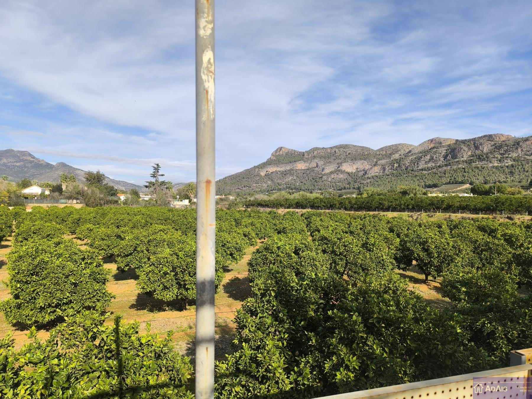 Venta de chalet en Gandia