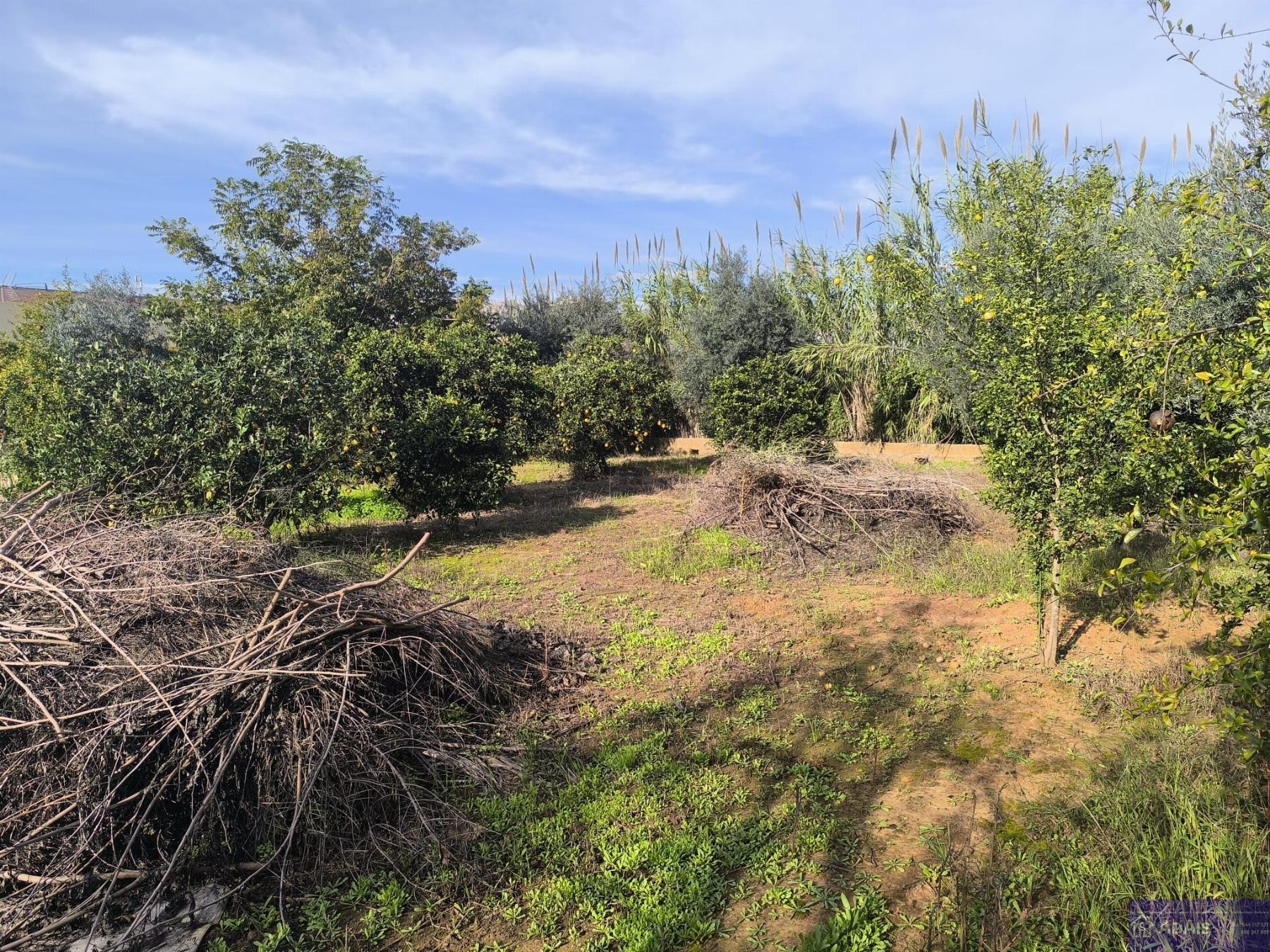 Venta de chalet en Gandia