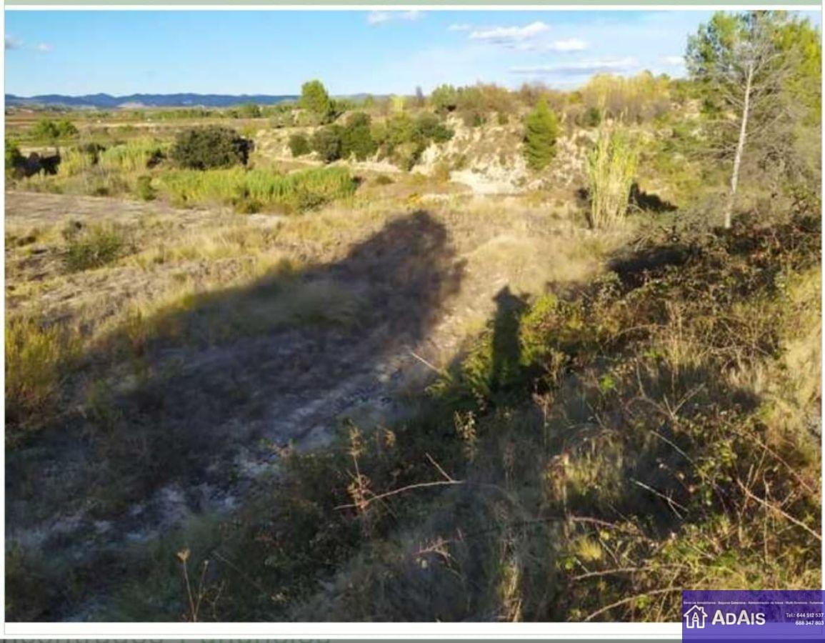 For sale of land in Almoines
