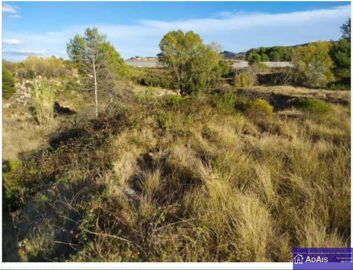 For sale of land in Almoines