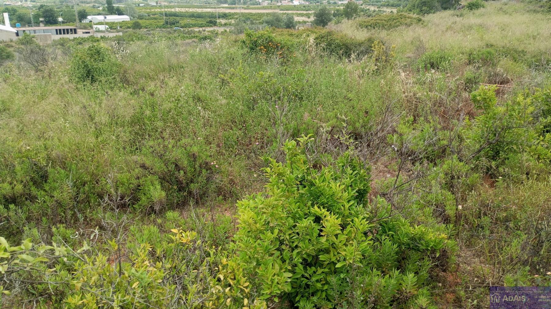 Venta de chalet en Palma de Gandía