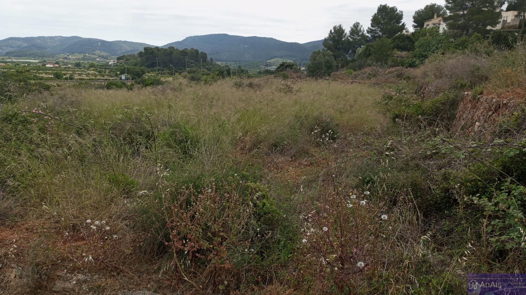 Venta de chalet en Palma de Gandía Venta de chalet en Palma de Gandía