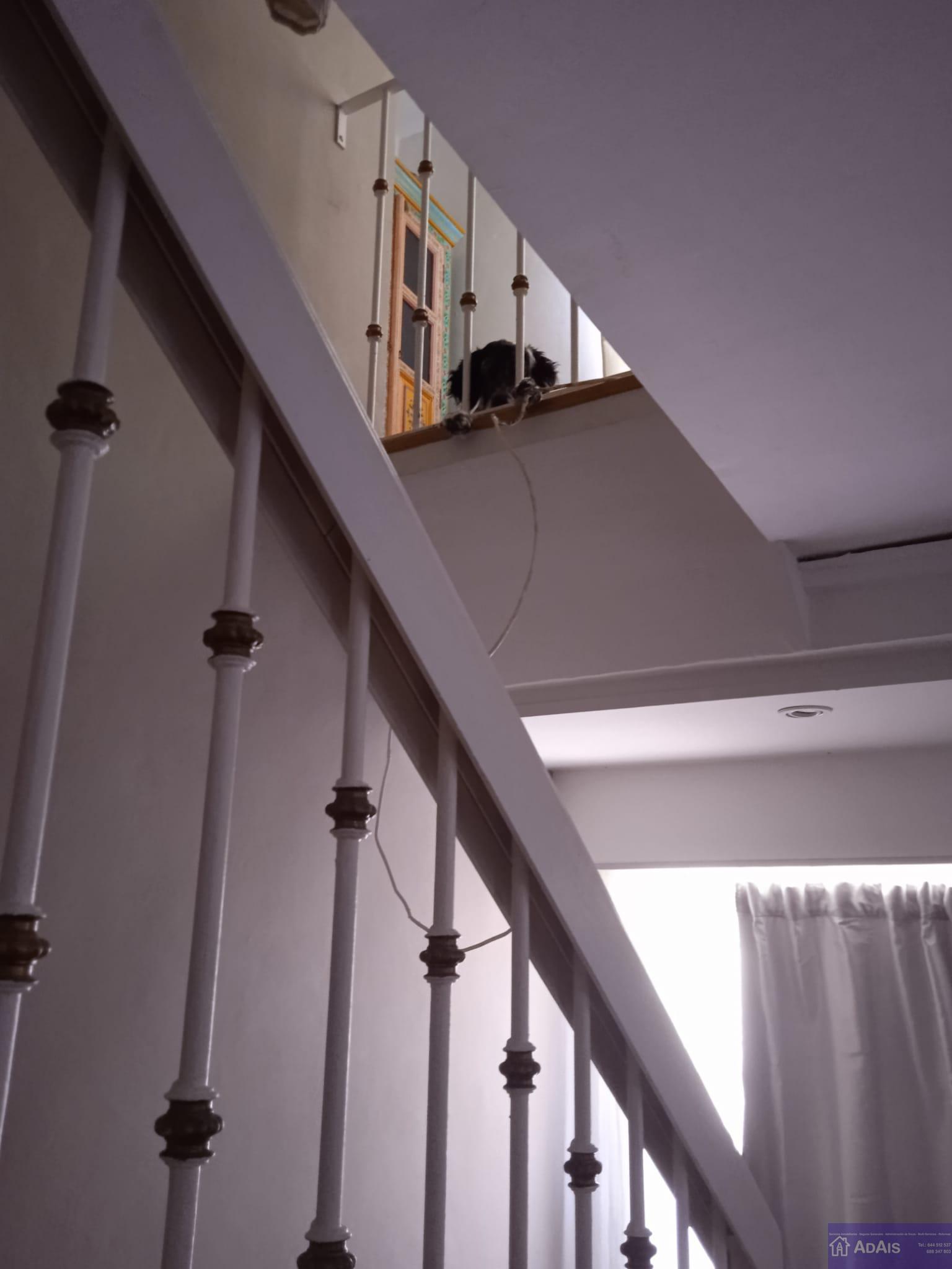 For sale of duplex in Gandia