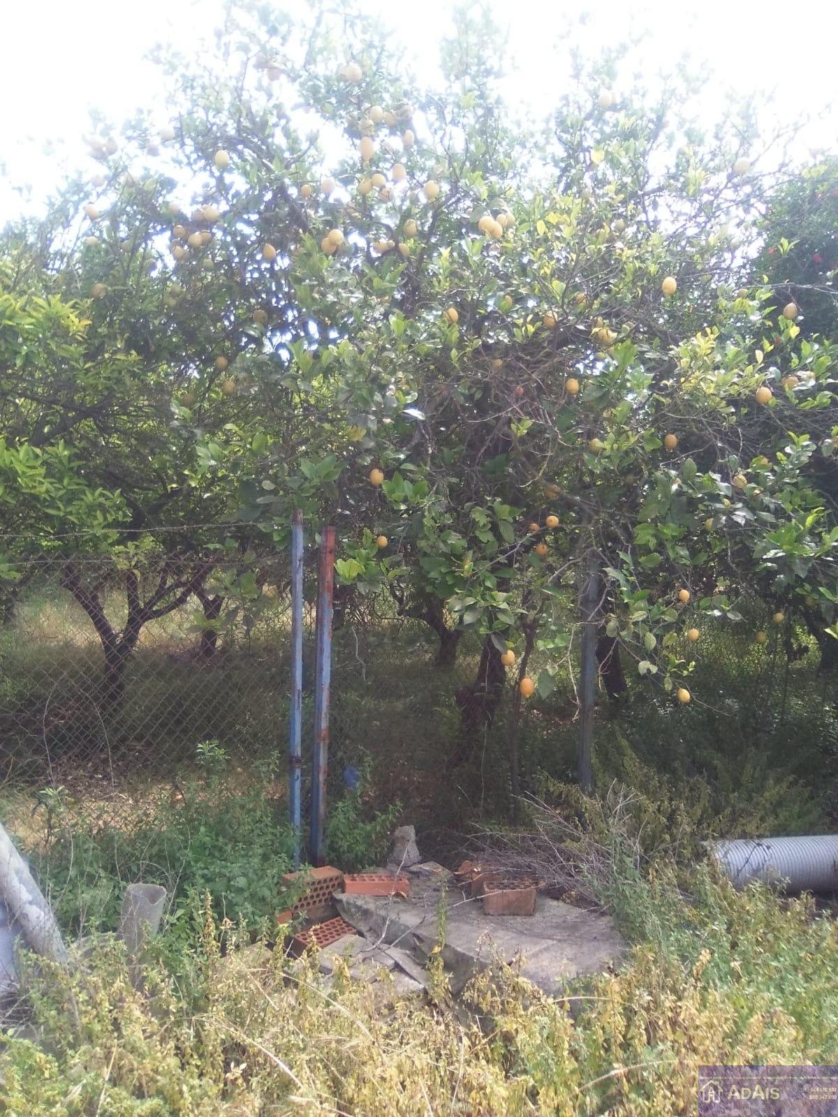 For sale of chalet in Gandia