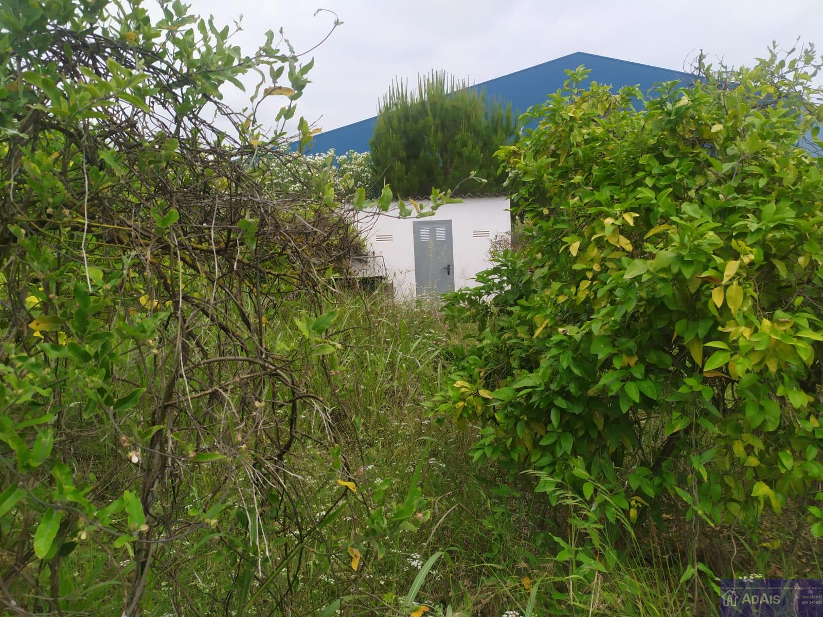 Venta de chalet en La Font d en Carròs